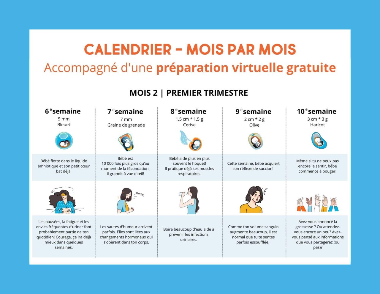 OPALEO Naissance - Calendrier de grossesse GRATUIT
